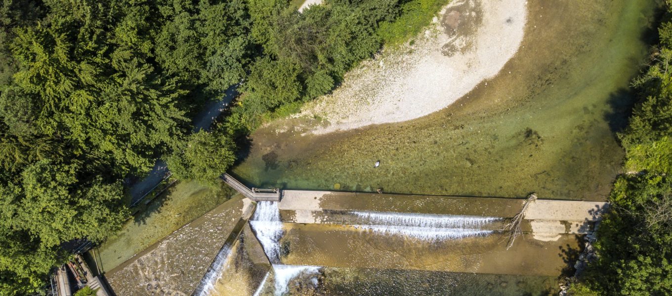 Top view of a flowing river next to a forest